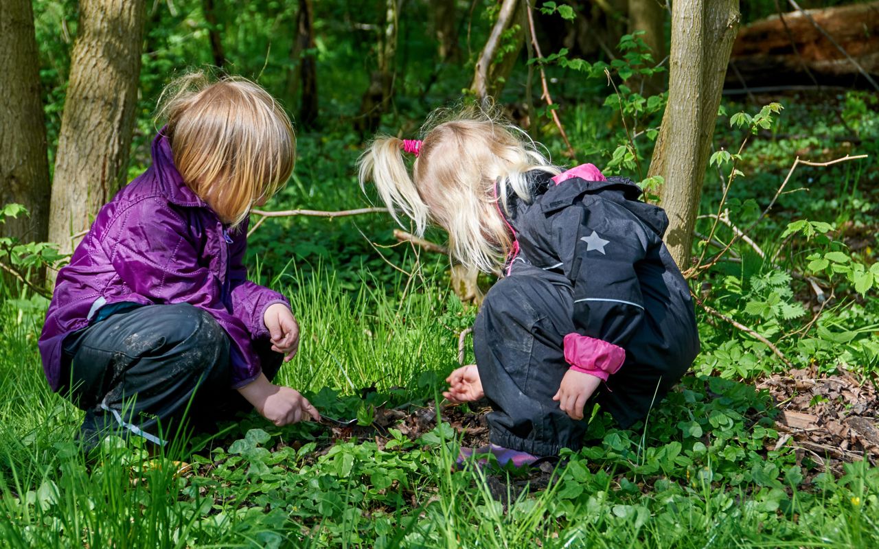 To børn på smådyrsjagt i skoven